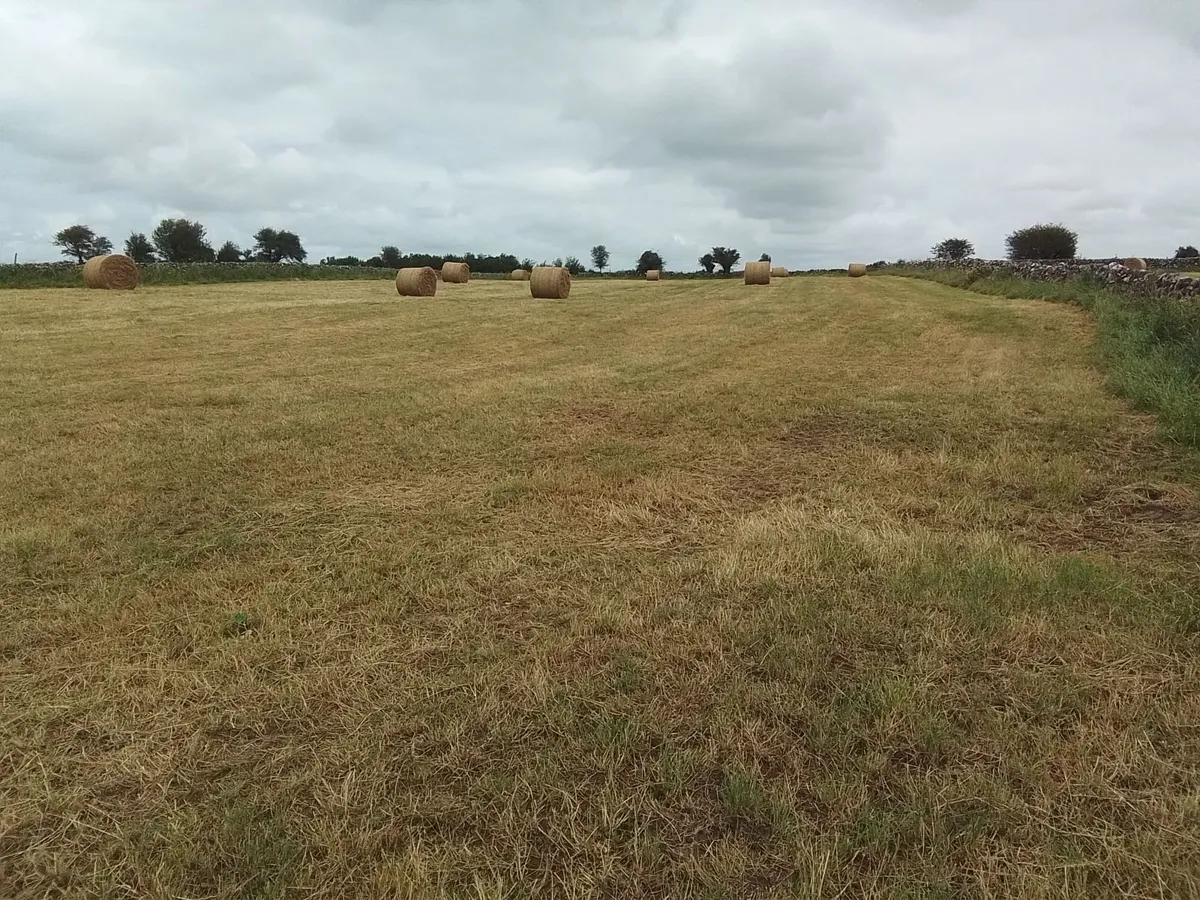 Hay round and square bales - Image 3