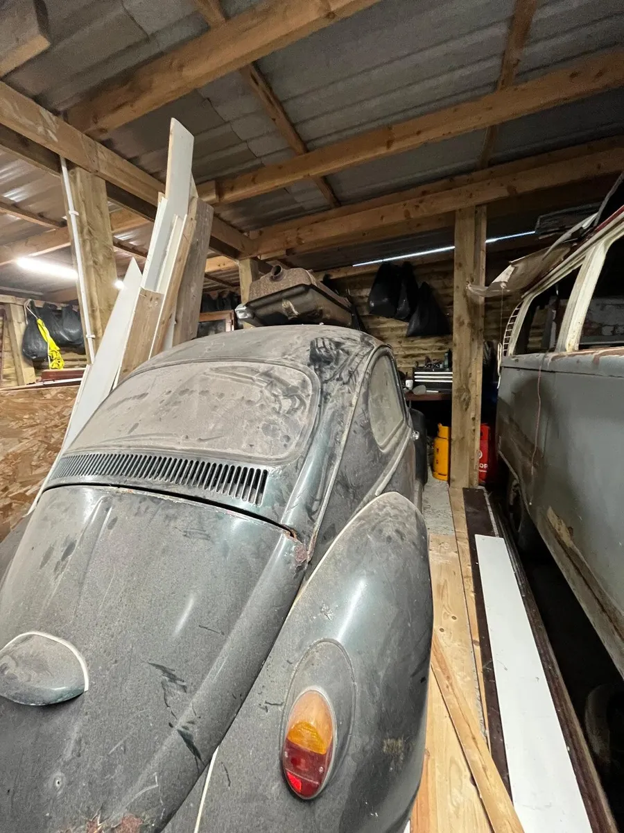 VW Beetle 1965 - Image 2