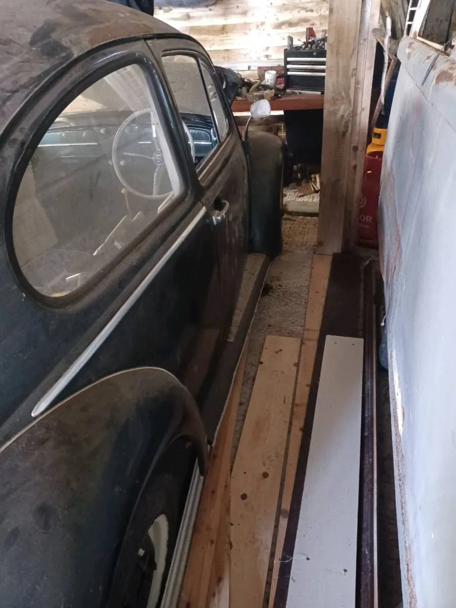VW Beetle 1965 - Image 3