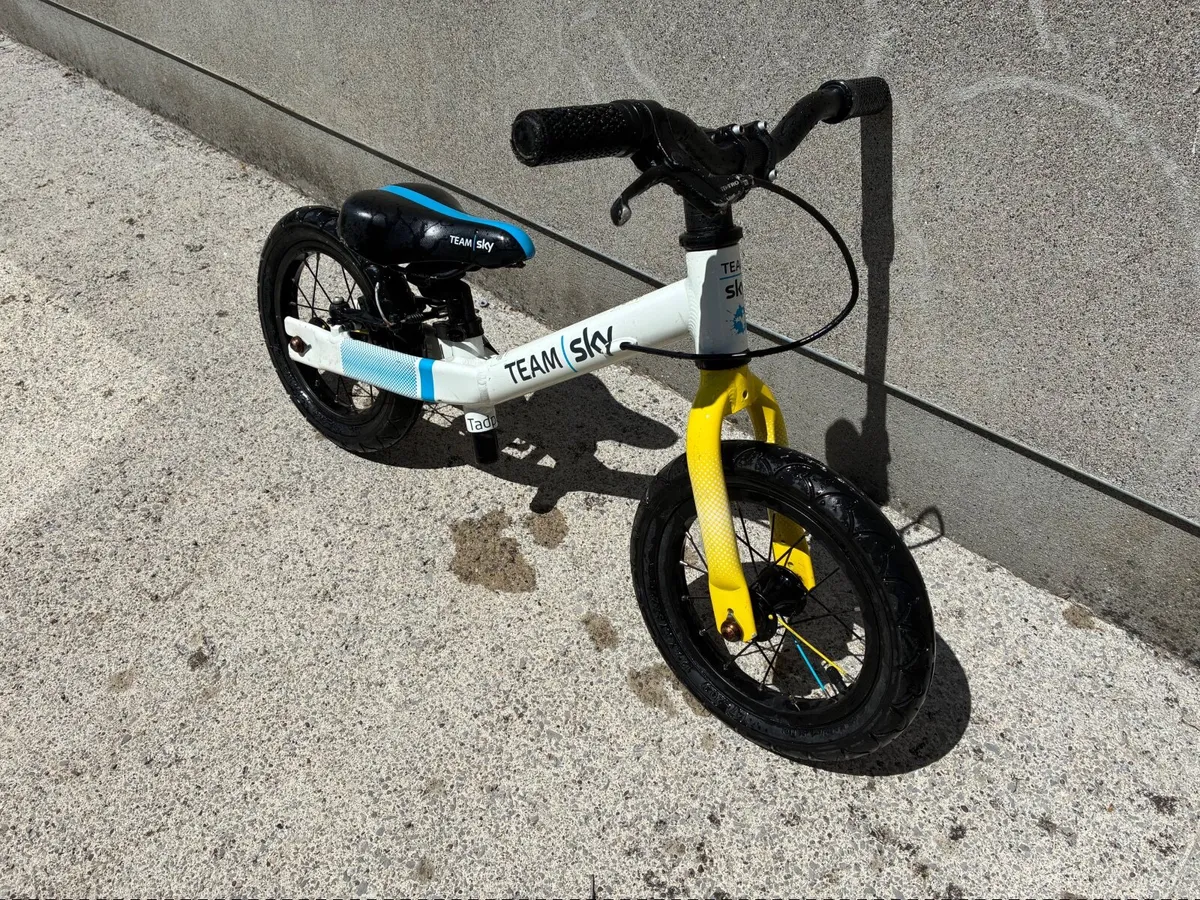 3 Quality Kids’ Bikes for Sale – Frog & Giant - Image 3