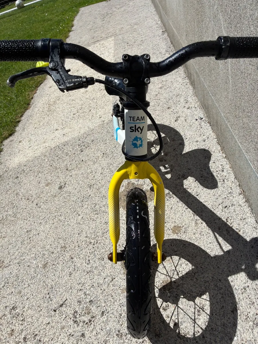 3 Quality Kids’ Bikes for Sale – Frog & Giant - Image 1