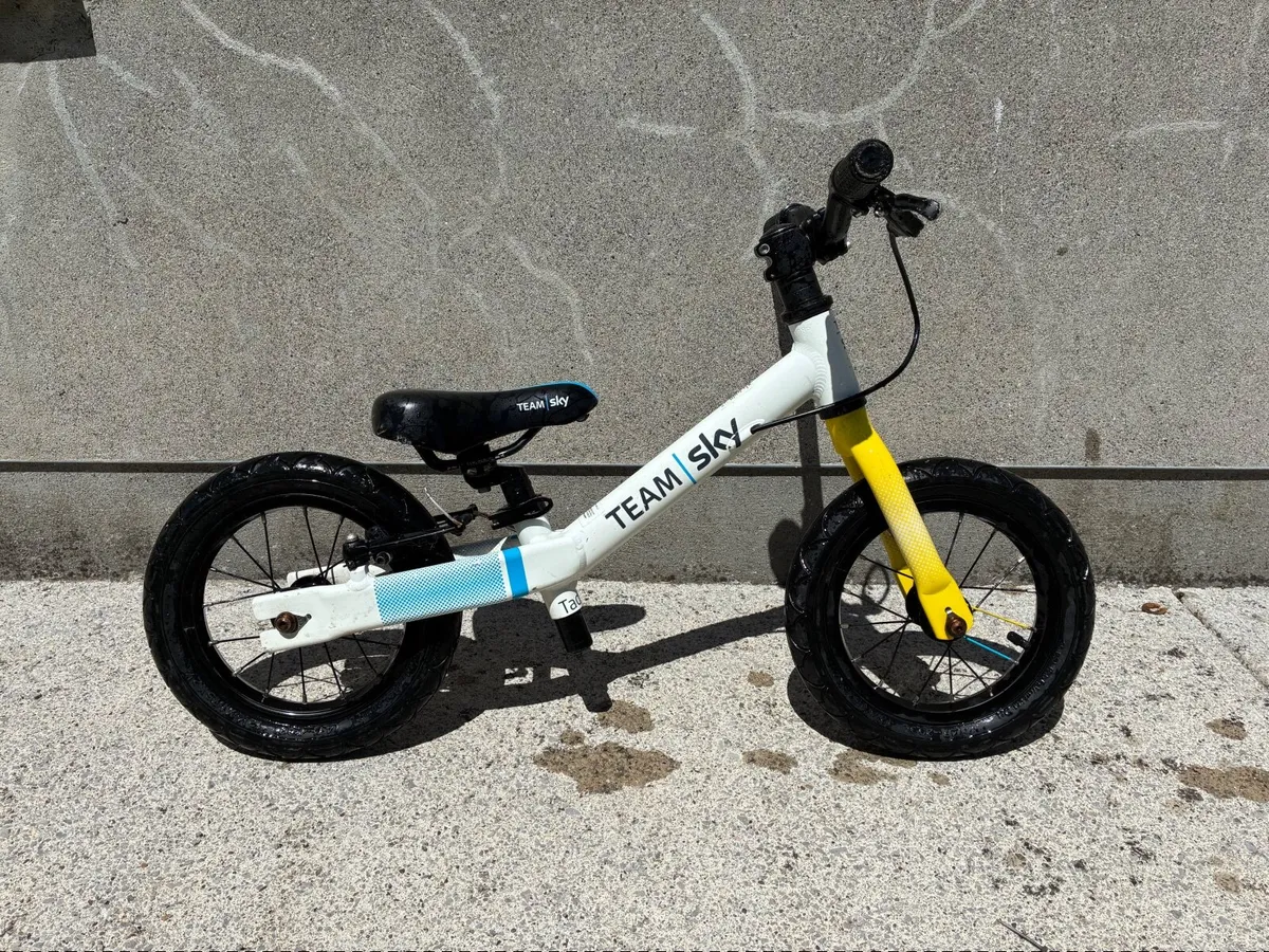 3 Quality Kids’ Bikes for Sale – Frog & Giant - Image 4