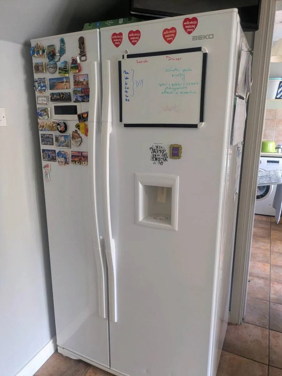 Fridge and freezer