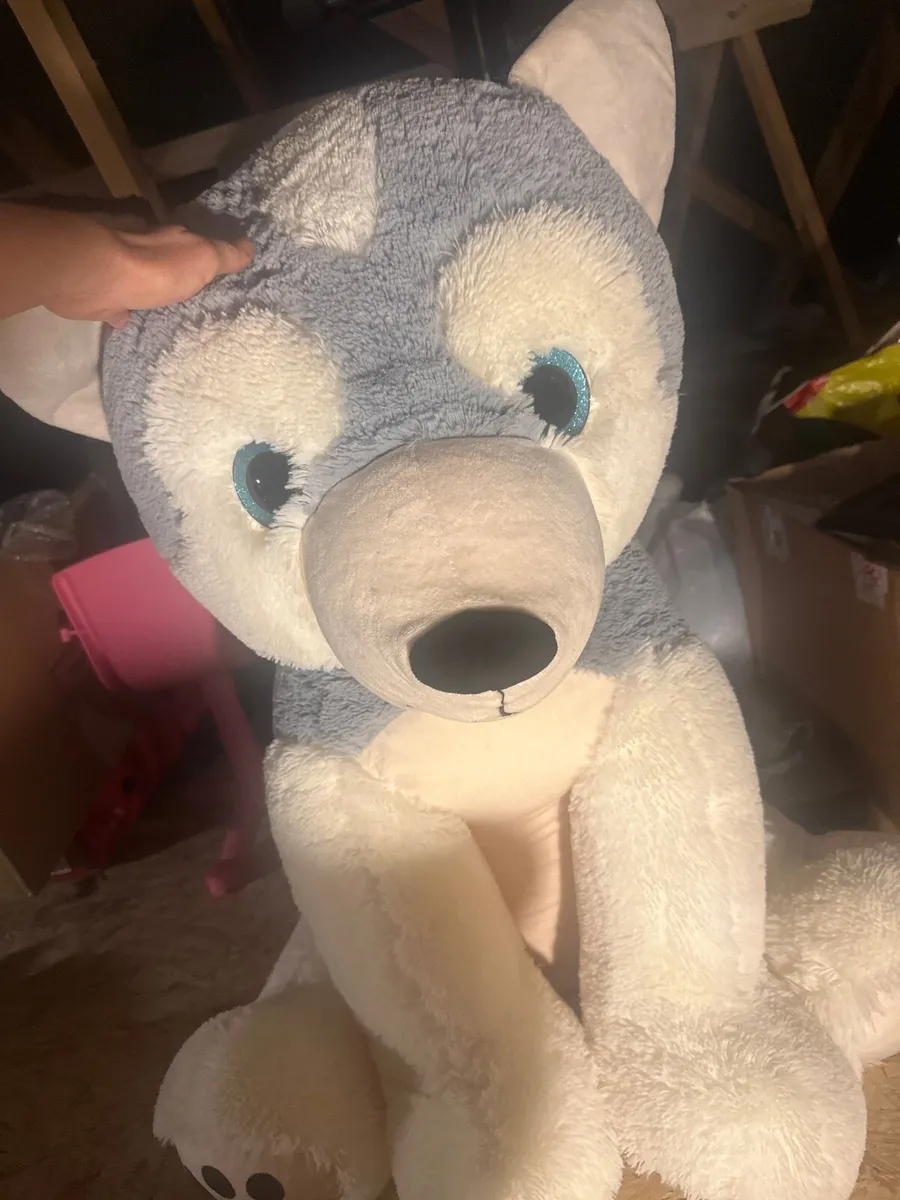 Teddy - Image 1