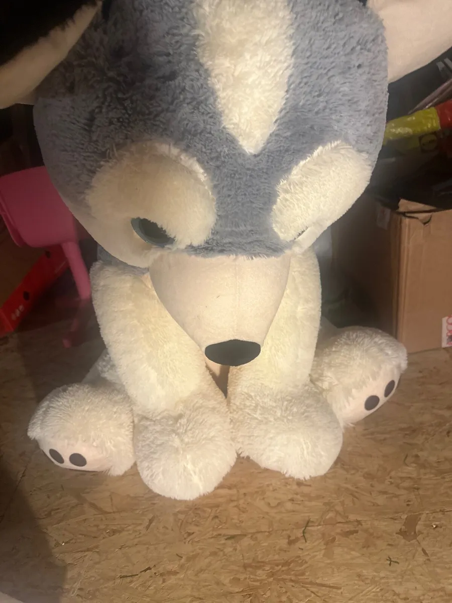 Teddy - Image 2
