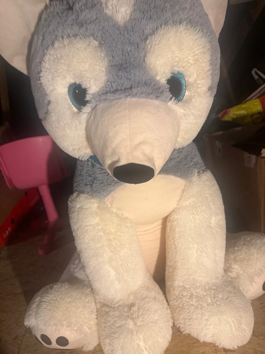Teddy - Image 3