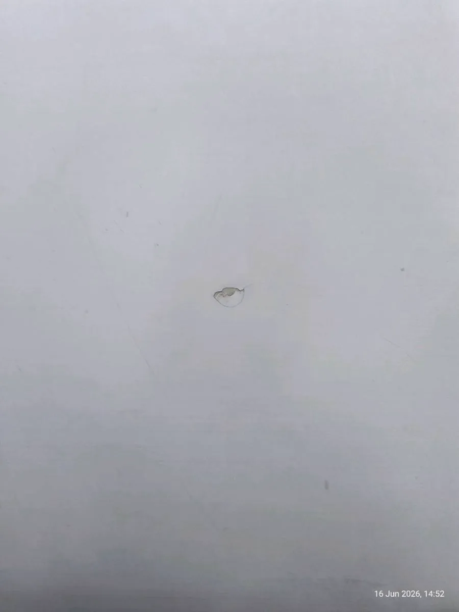 NSP Surfboard - Image 3