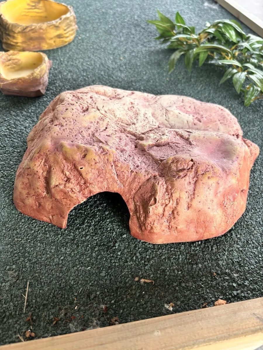 Reptile tank vivarium - Image 2