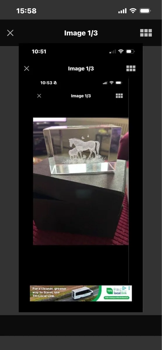 Etched Glass Horse Display - Image 1