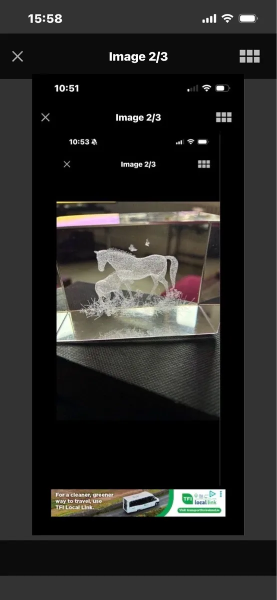 Etched Glass Horse Display - Image 2