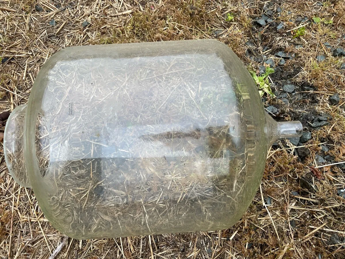 Milking Equipment - Image 3