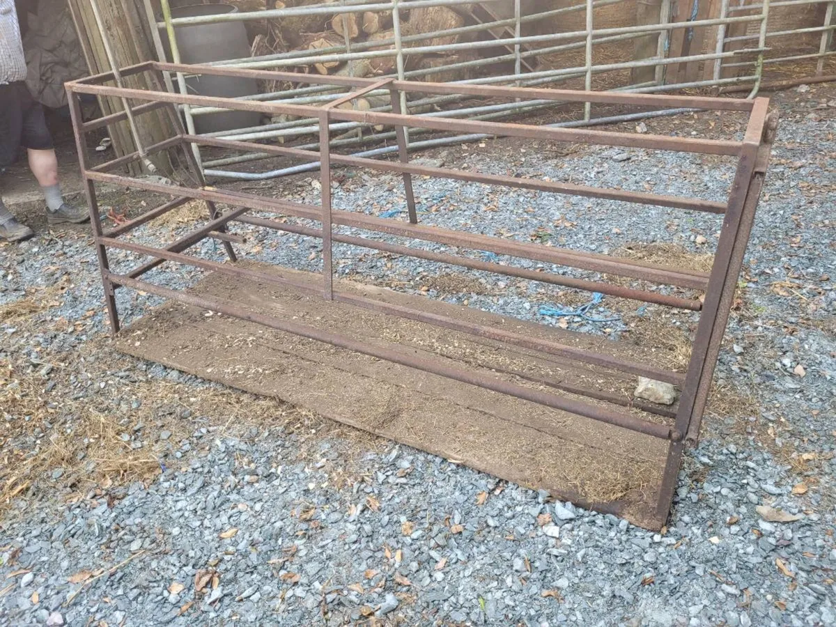 Pig farrowing crate - Image 3