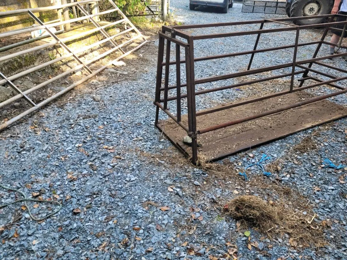 Pig farrowing crate - Image 2