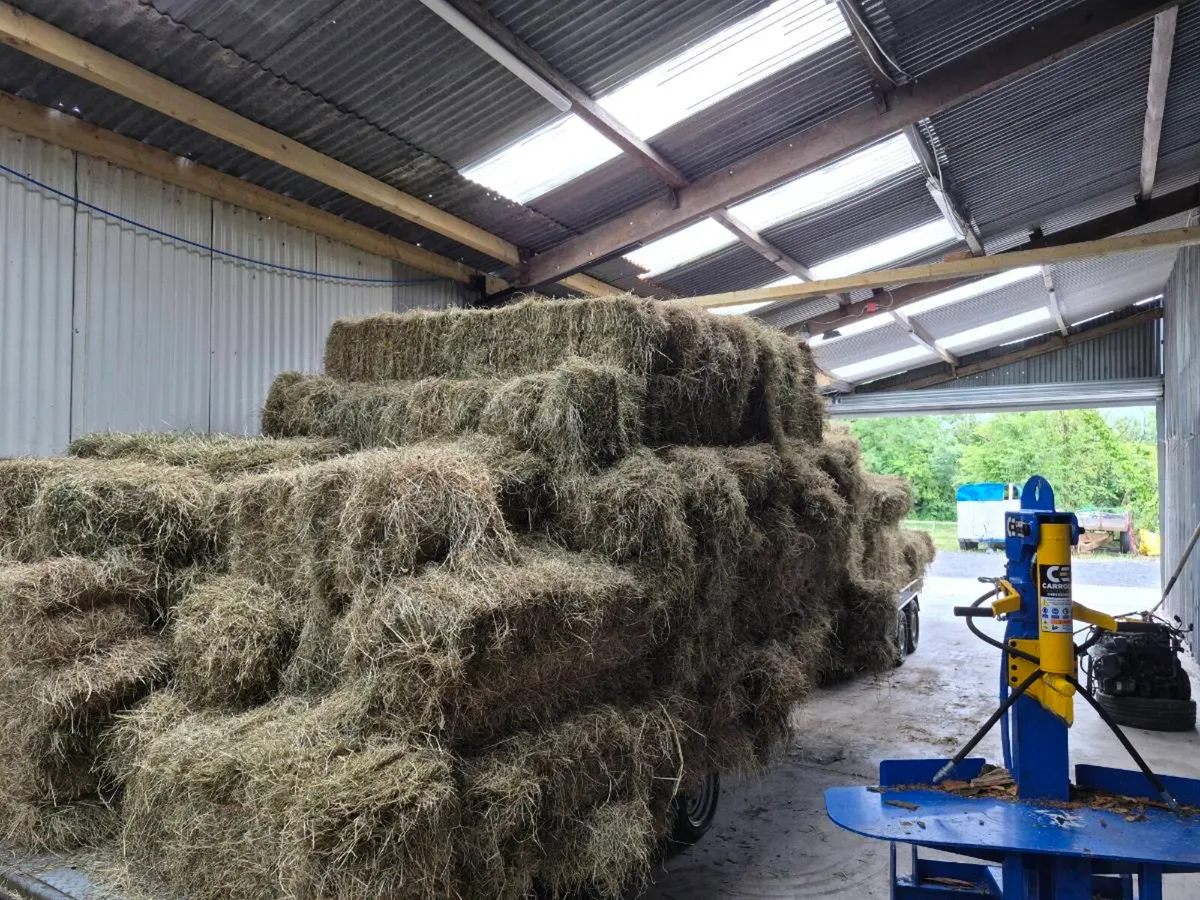 Small square bales of Hay - Image 3