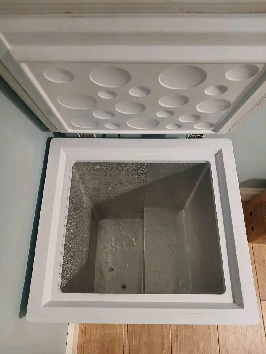 Fridge freezer and freezer - Image 1