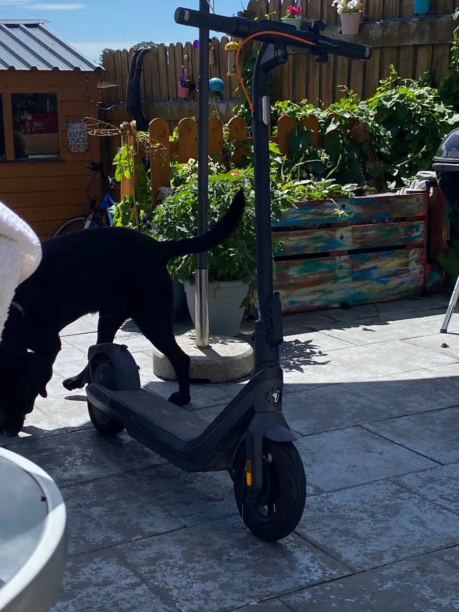 Segway ninebot E2 pro electric scooter - Image 1
