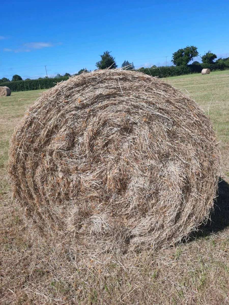 Bales of hay - Image 2