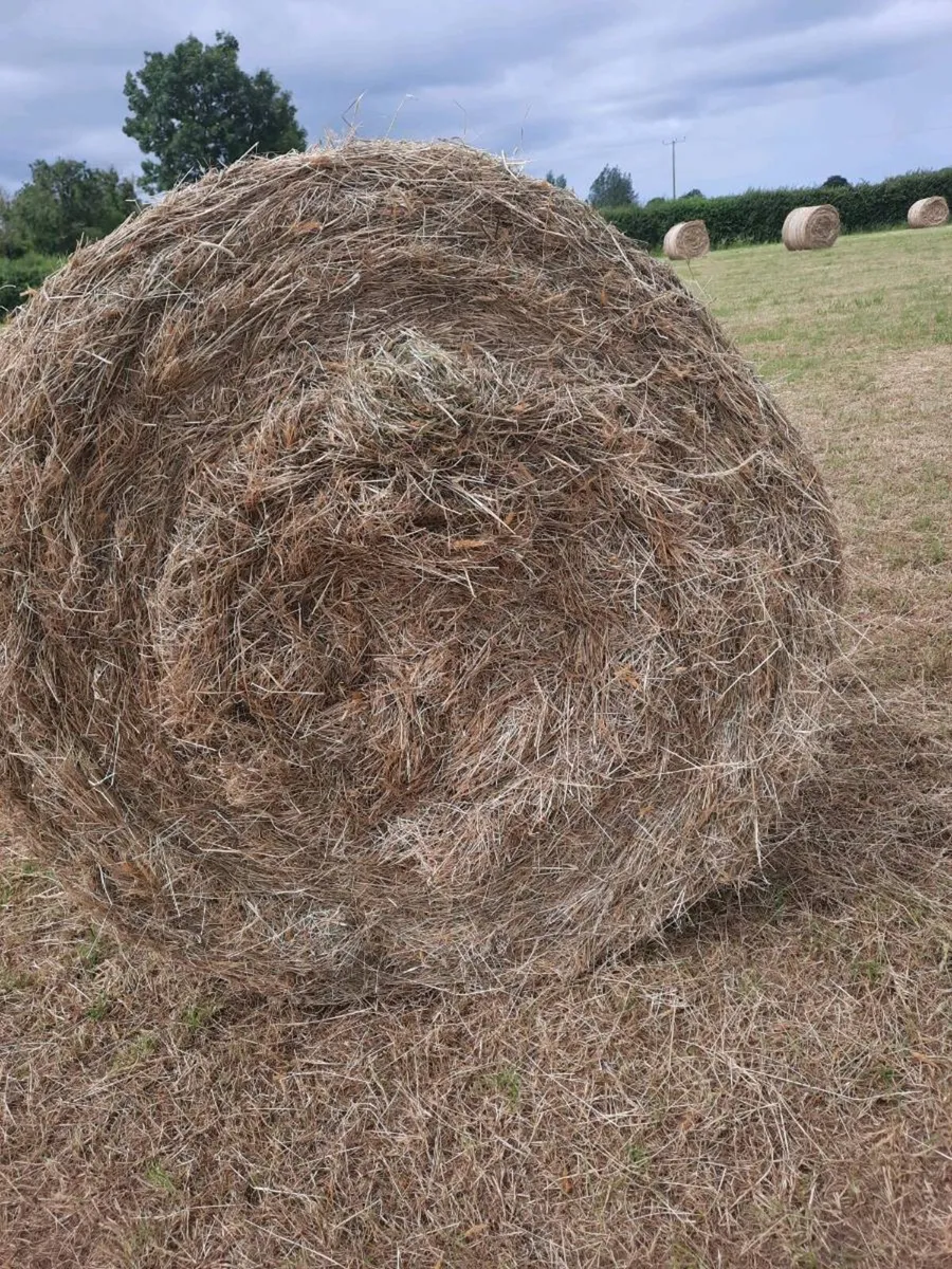 Bales of hay - Image 4
