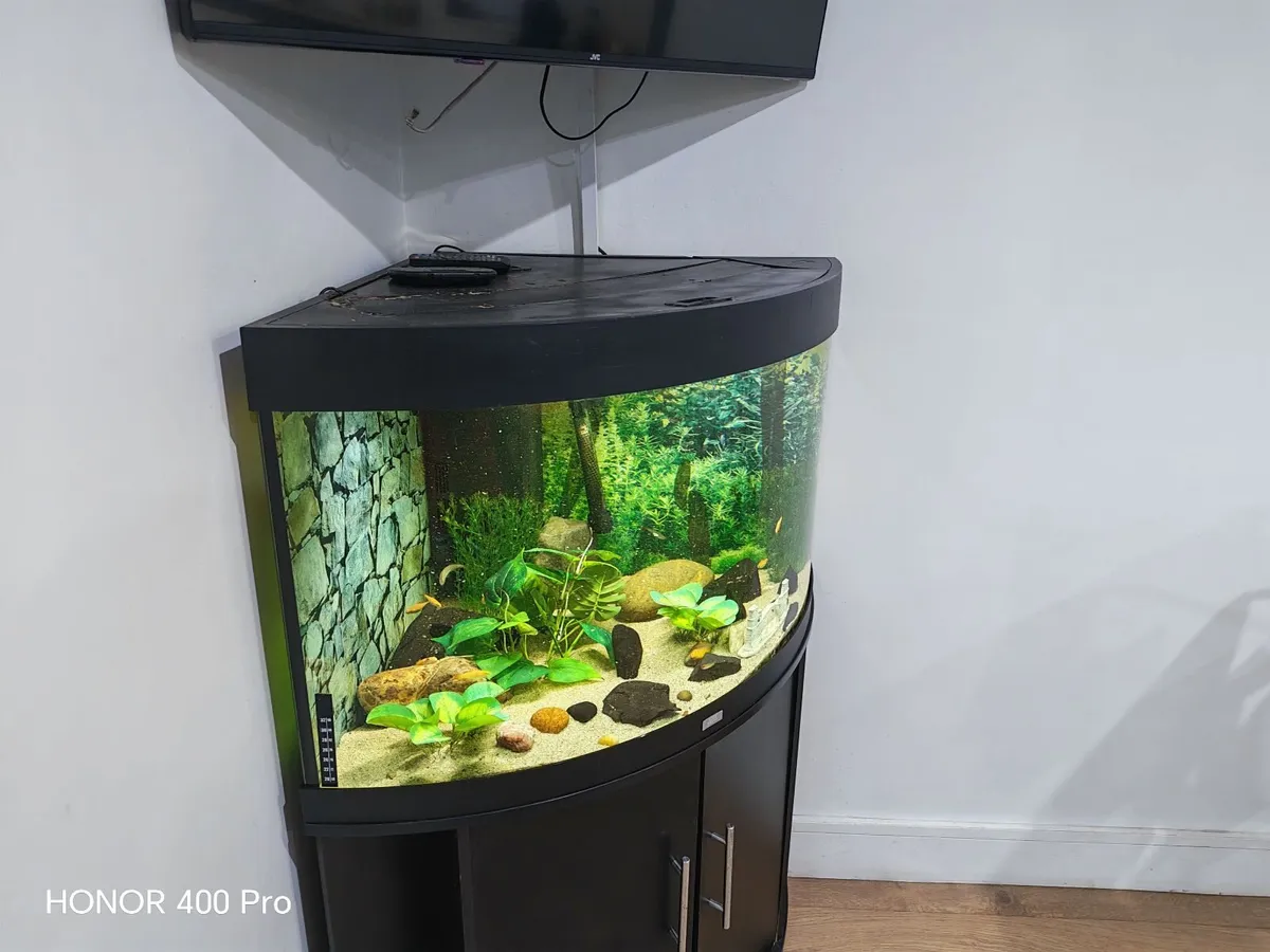 Juwel Aquarium corner unit - Image 2