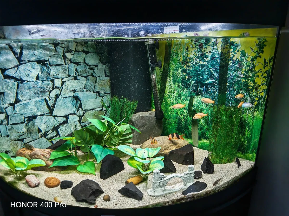 Juwel Aquarium corner unit - Image 4