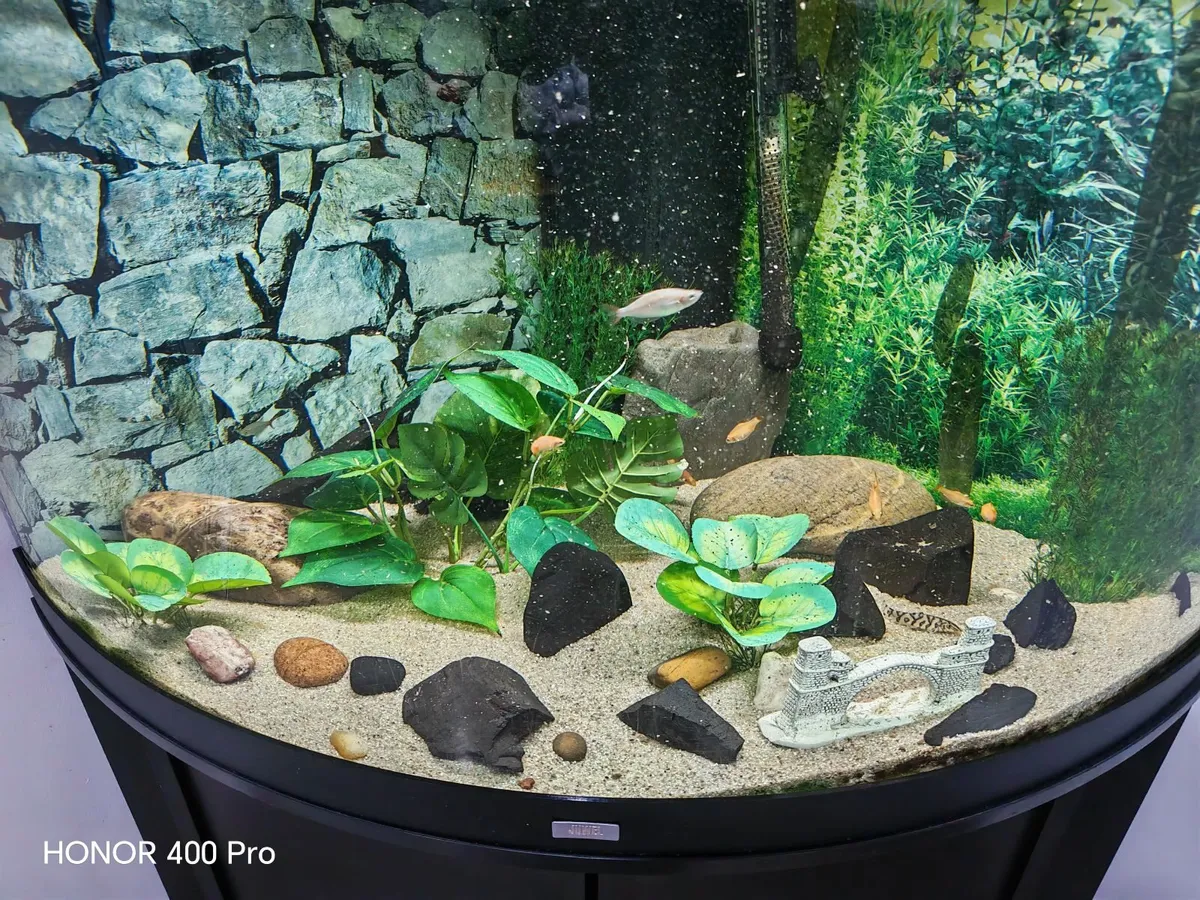 Juwel Aquarium corner unit - Image 3