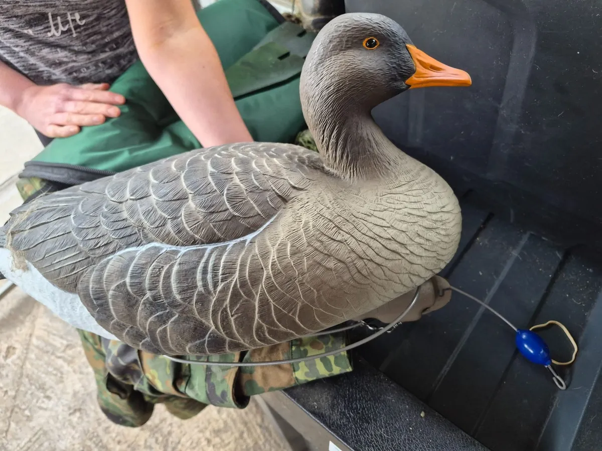 Duck decoys - Image 2