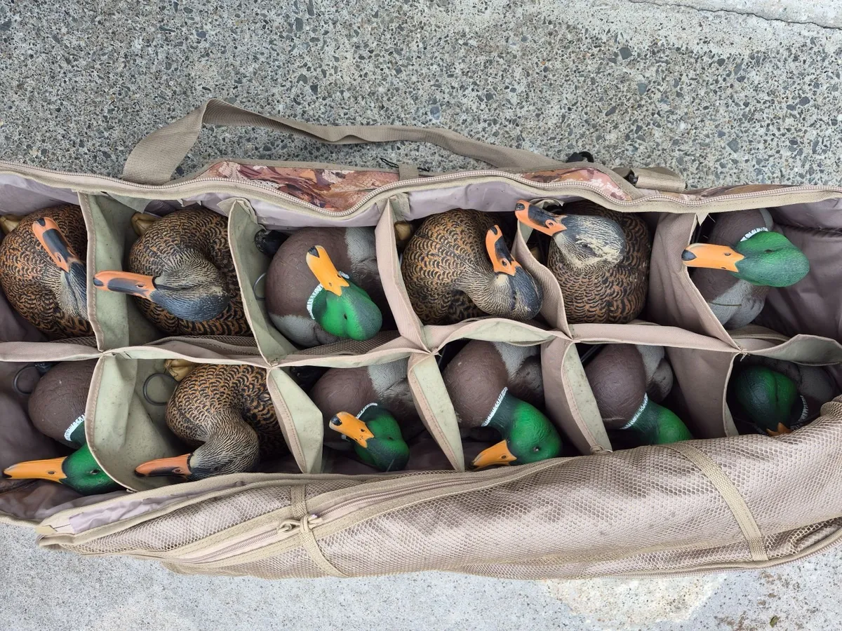 Duck decoys - Image 3
