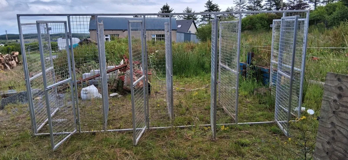 Dog Run - Image 1