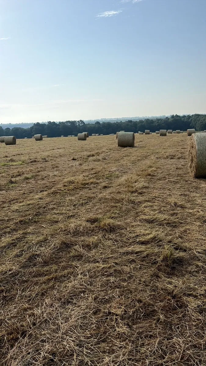 Hay for sale, Monasterevin area - Image 3