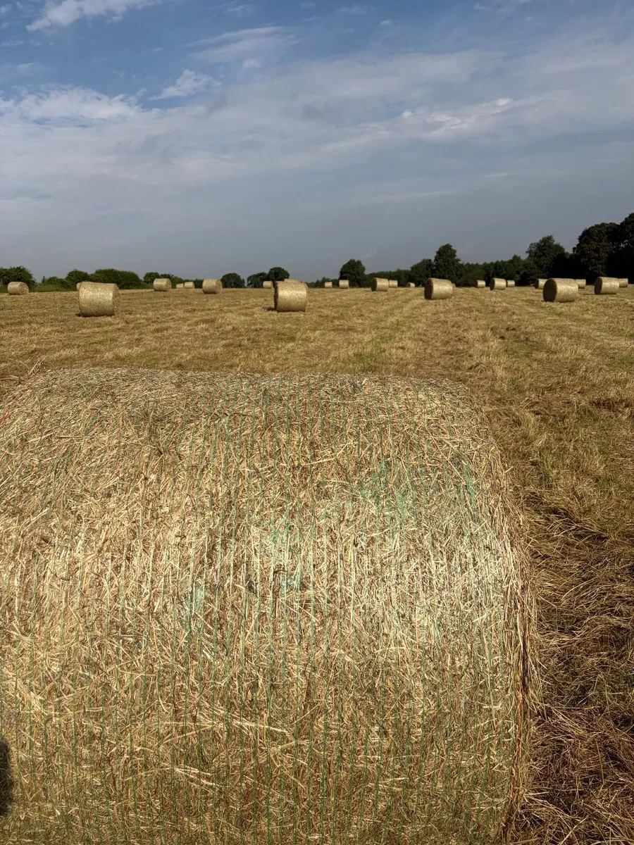 Hay for sale, Monasterevin area - Image 4