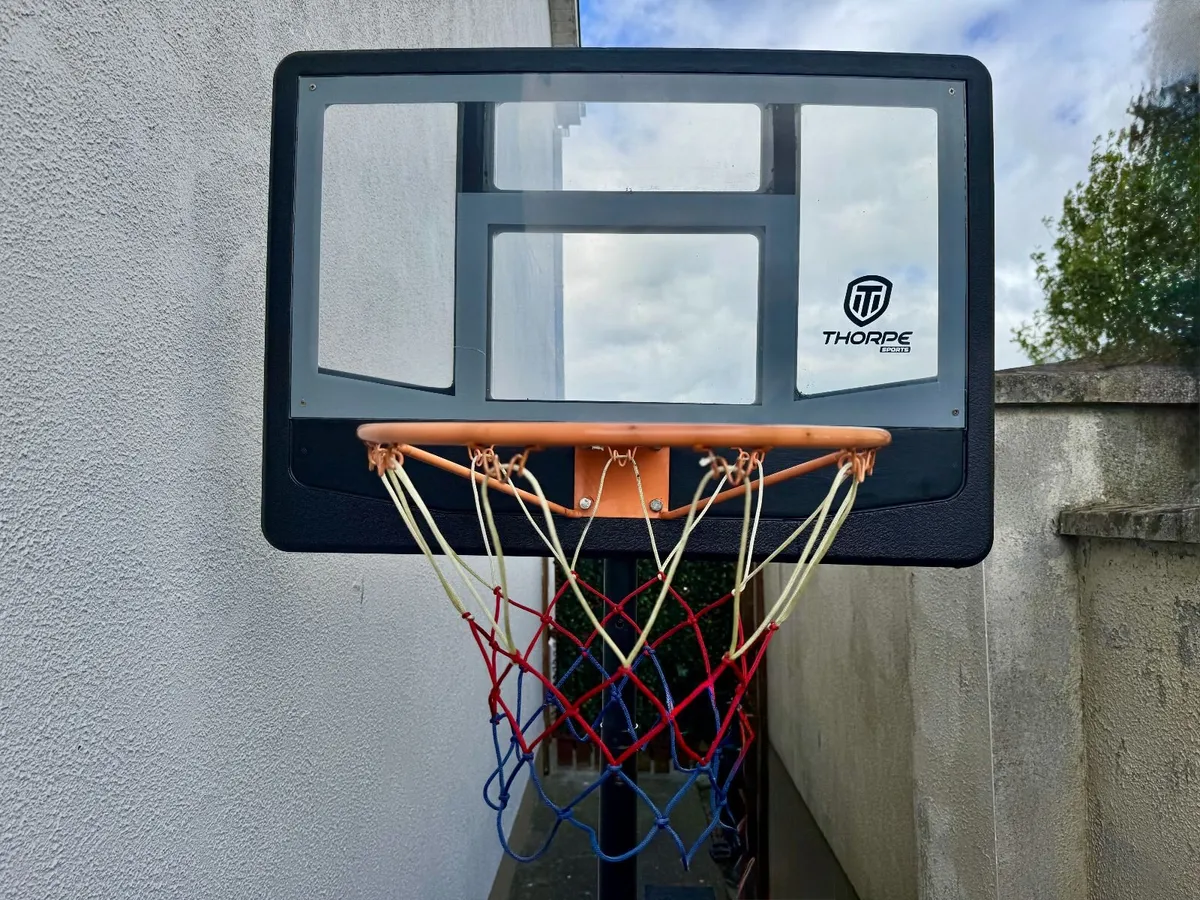 THORPE 10ft Adjustable Basketball Hoop (44" Board) - Image 1