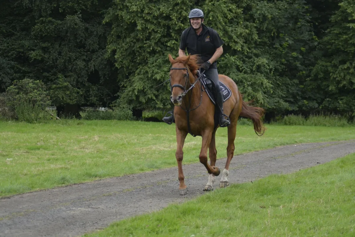 Horse Share - Image 1