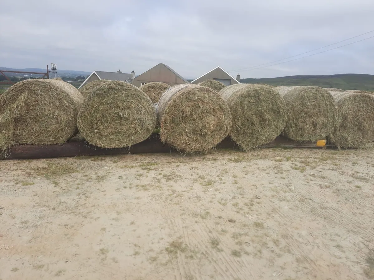 Hay for Sale - Image 1