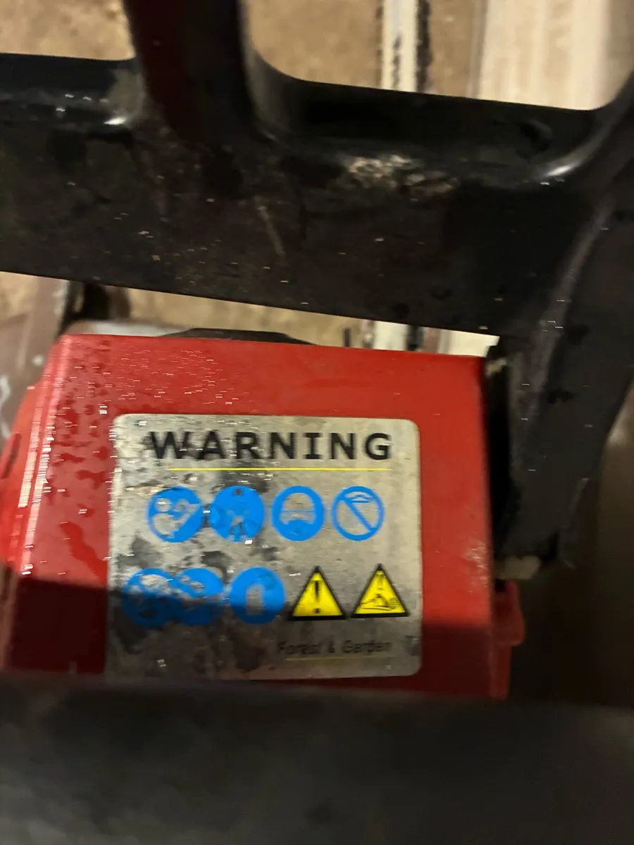 Chainsaw - Image 4
