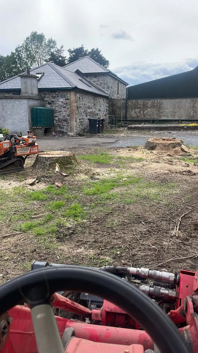 Stump grinding - Image 1