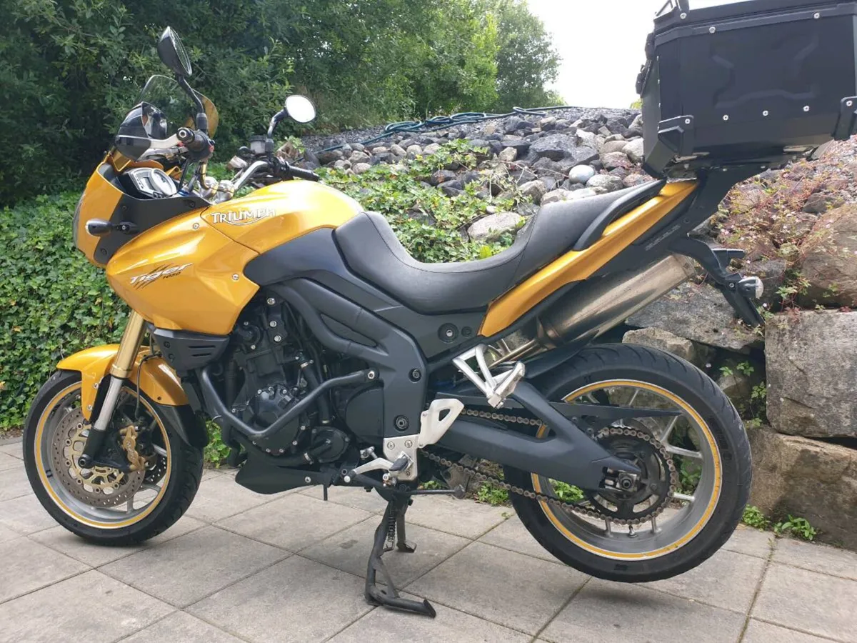 Triumph Tiger 1050 Perfect - Image 4