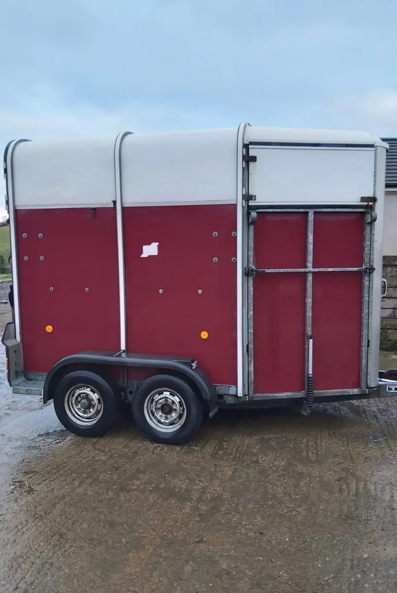 Ifor Williams 505 horsebox - Image 4