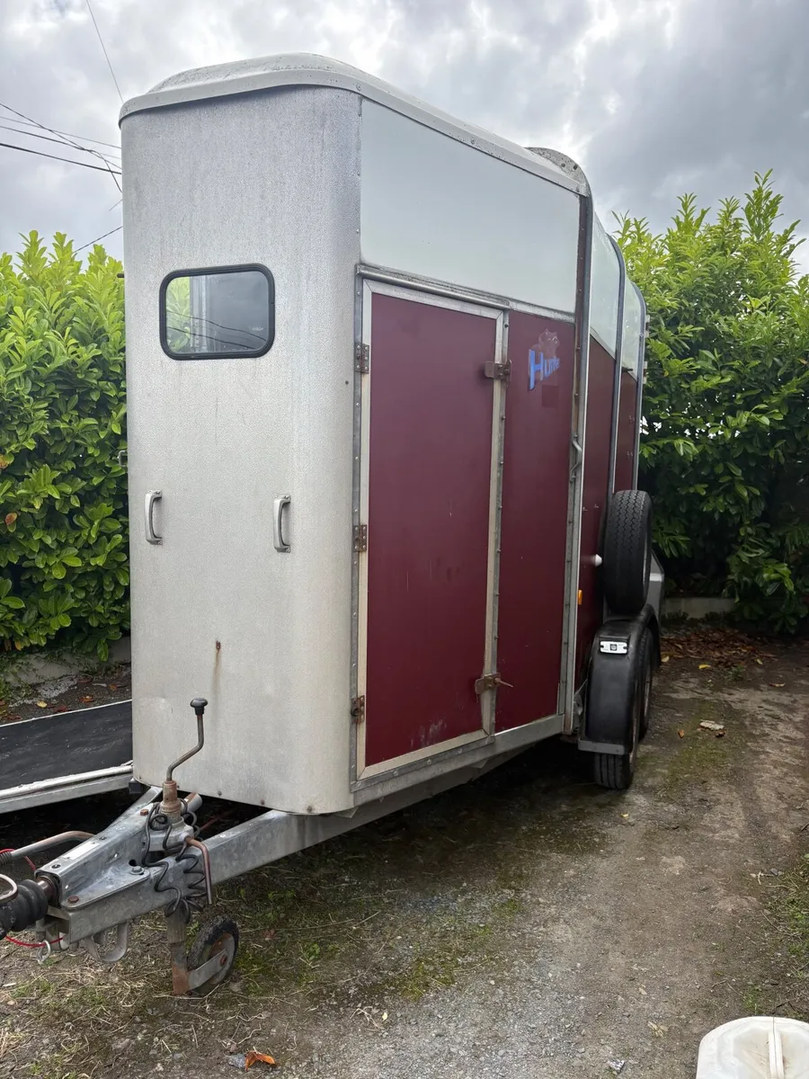 Ifor Williams 505 horsebox - Image 1