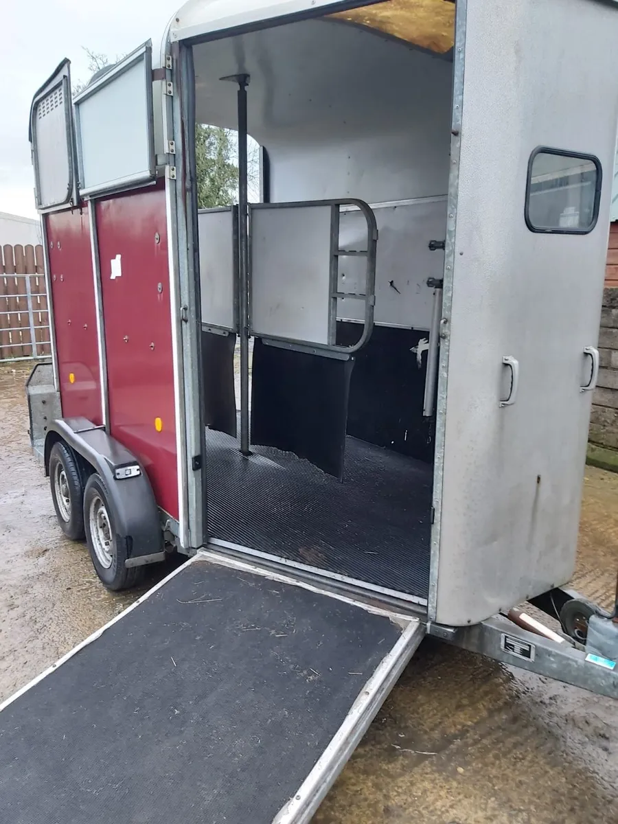 Ifor Williams 505 horsebox - Image 2