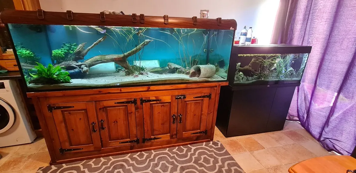 Fish tanks - Image 4