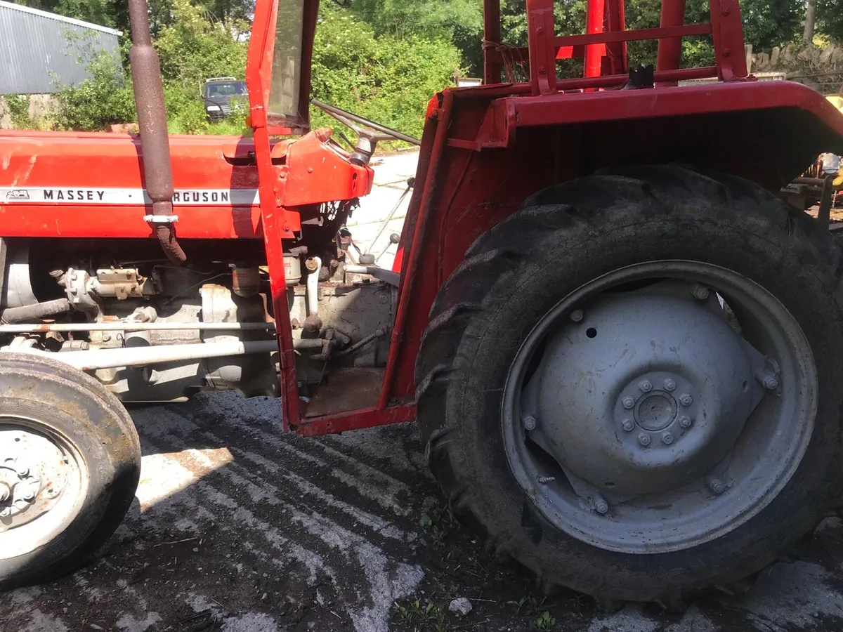 Massey Ferguson 135 - Image 3