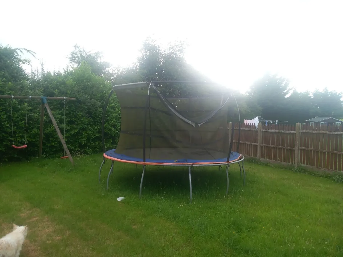 tree house and trampoline - Image 2