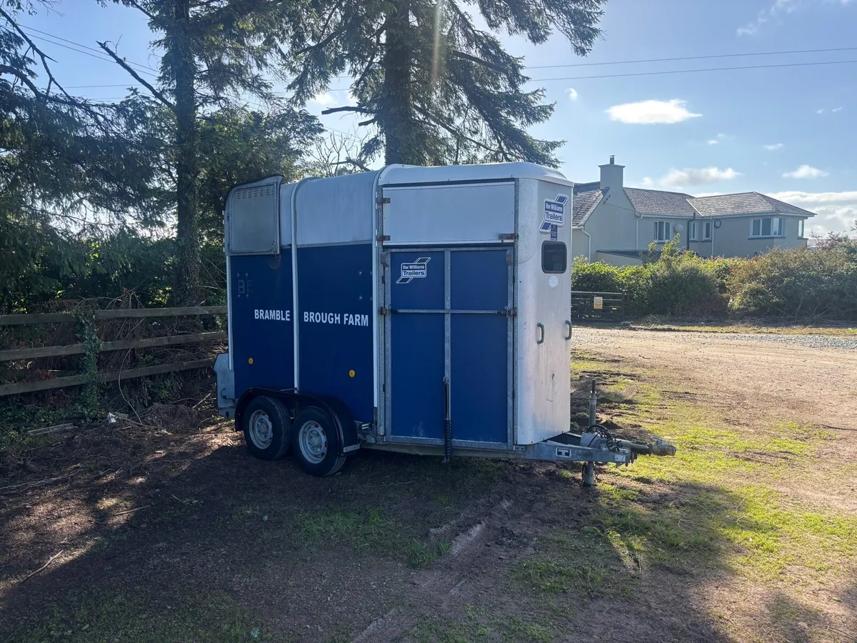 Ifor Williams Horsebox 505 - Image 2