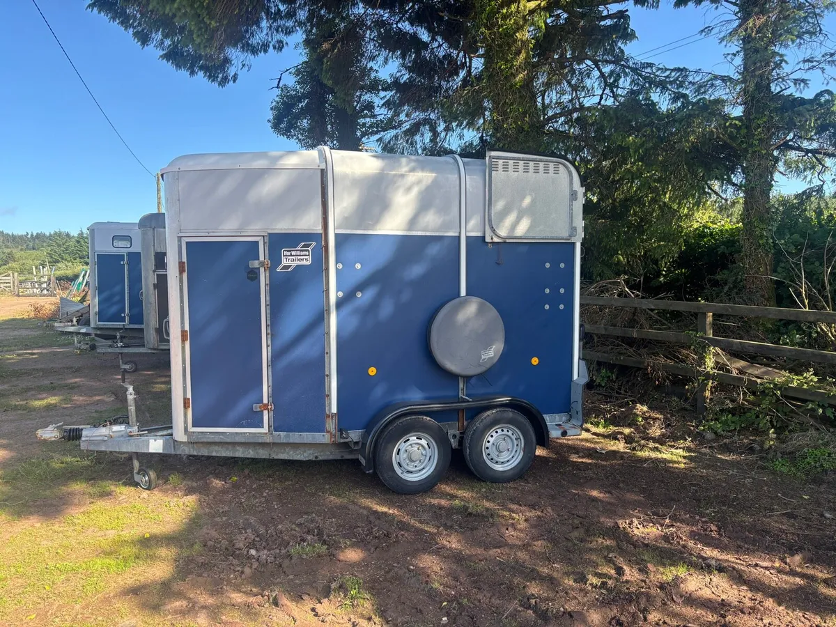 Ifor Williams Horsebox 505 - Image 3