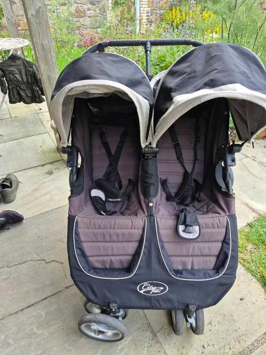 Double buggy - Image 1
