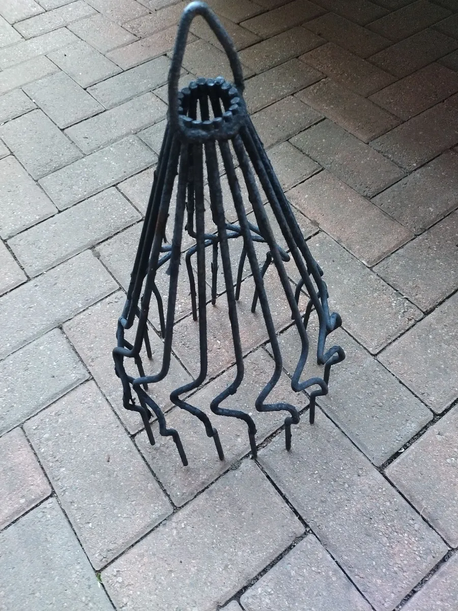 Chimney Guard