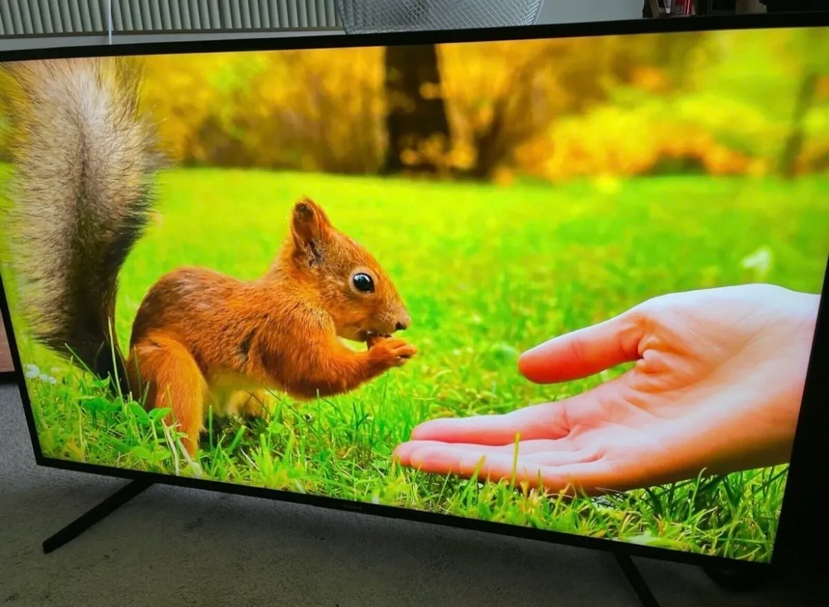 55” Sony Bravia 4k Ultra HDR Smart Tv - Image 3