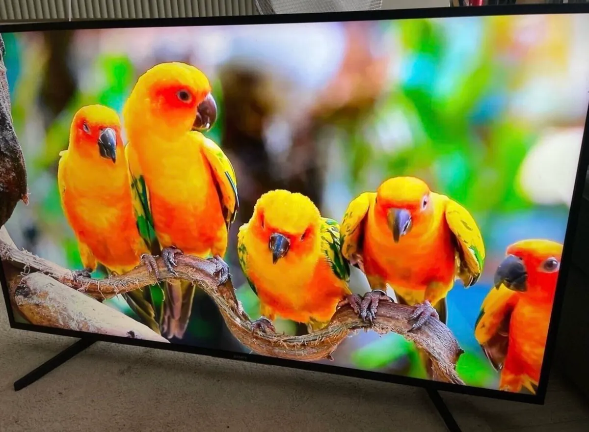 55” Sony Bravia 4k Ultra HDR Smart Tv - Image 4