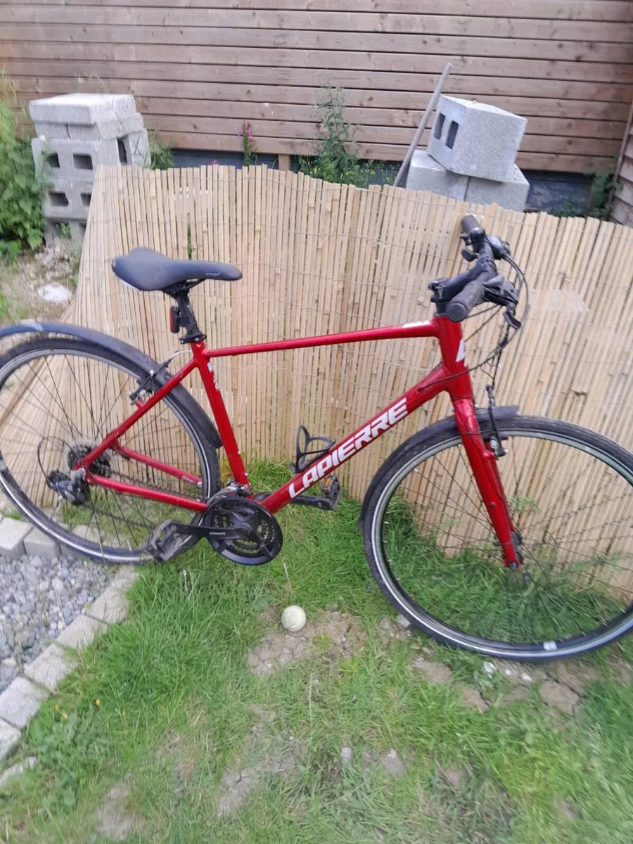 Mens Bicycle - Image 1
