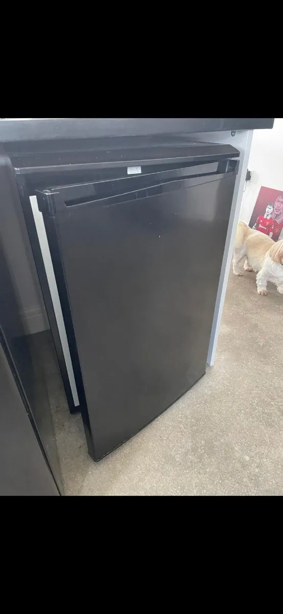 Fridge and freezer - Image 2